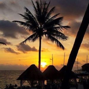 Meet your Posher, Shanda